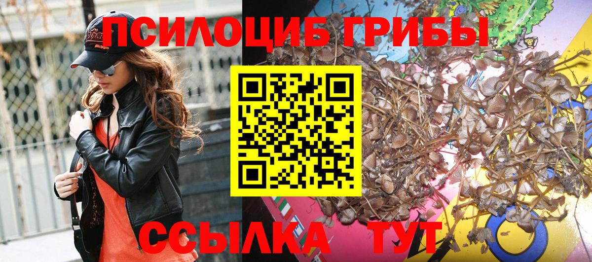 Псилоцибиновые грибы Psilocybe  Псилоцибиновые грибы Cubensis  Вход с VPN  Шебекино 